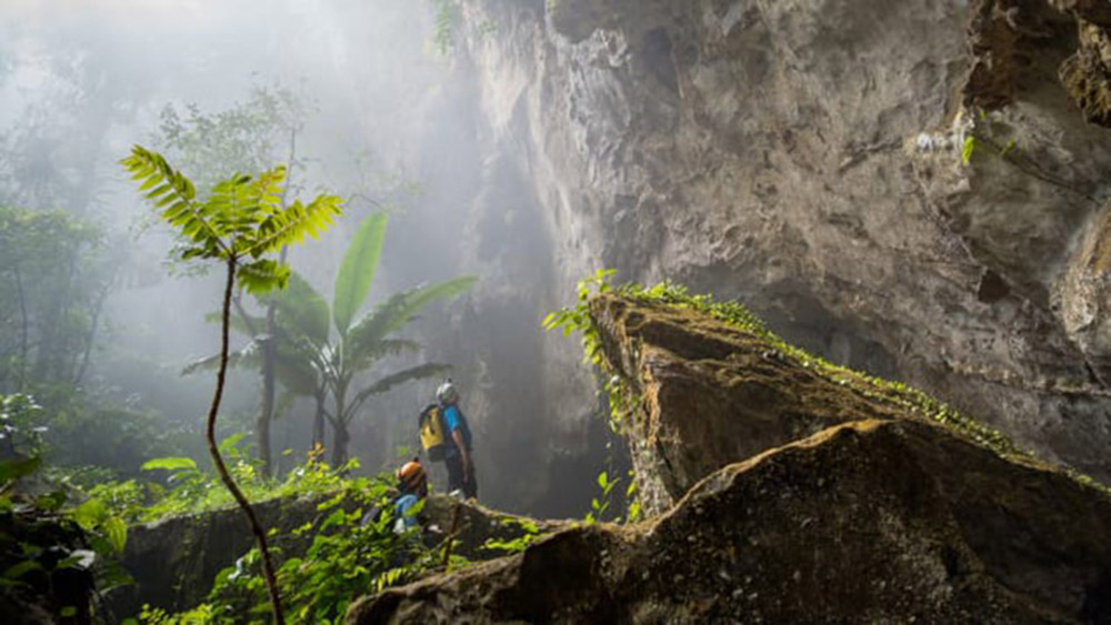 interior view of rocks and plants inside the cave