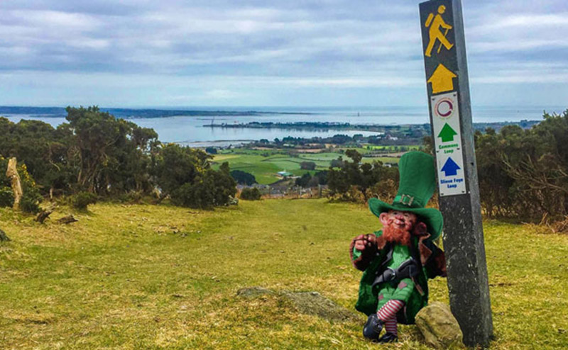 leprechaun standing on a green hillside