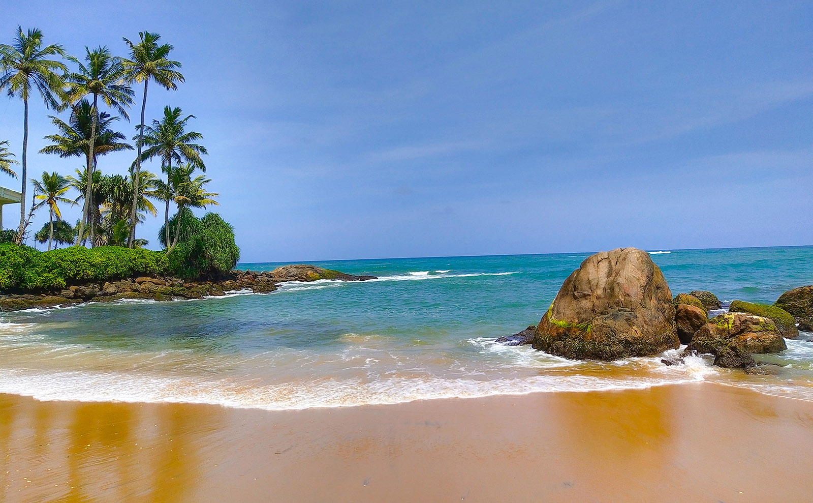 sandy beach with a palm tree and turquoise blue water