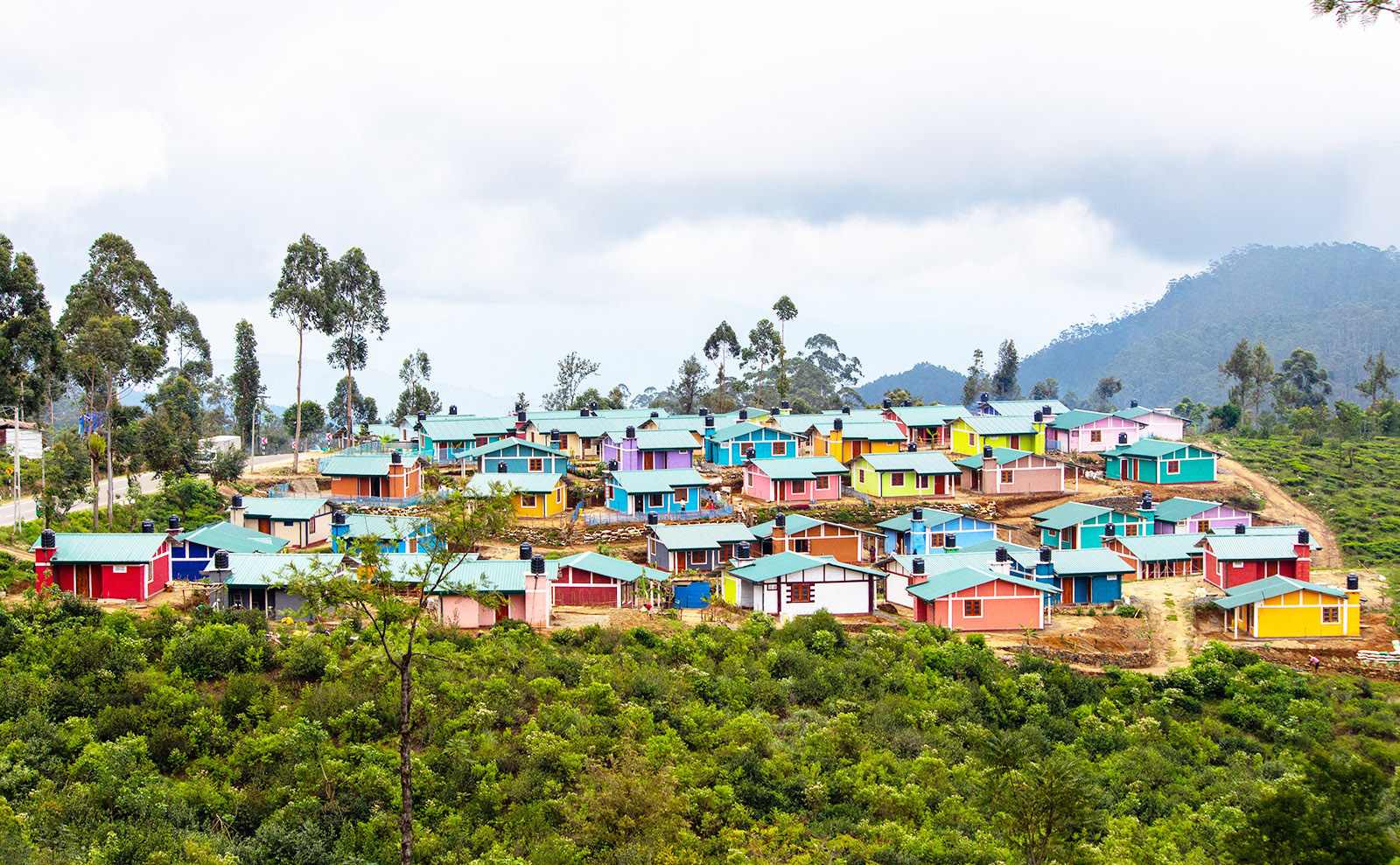 pastel-colored houses clustered on a green leafy hill