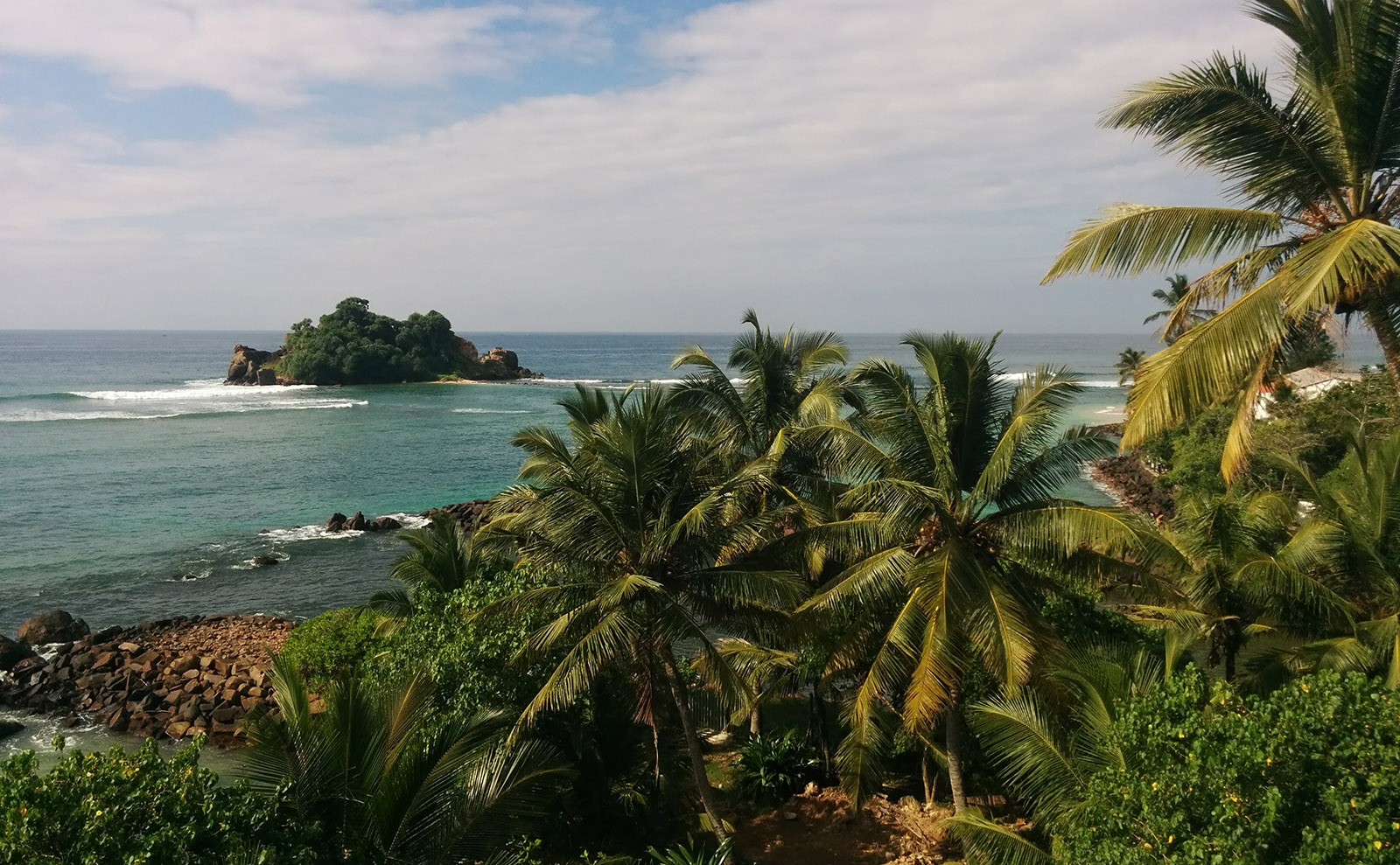 sandy beach with a palm tree and turquoise blue water
