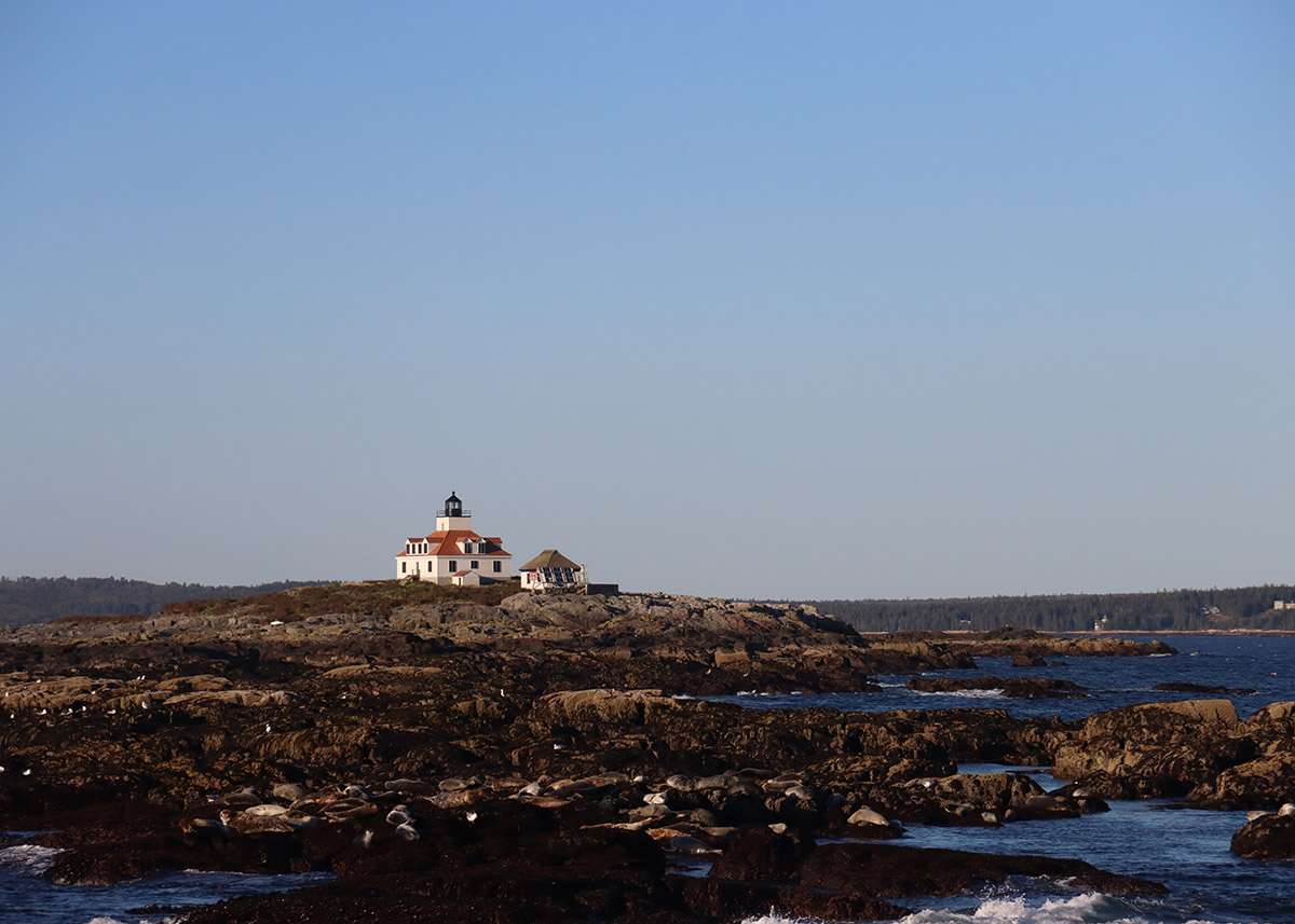 white house on a rocky bluff overlooking the water in bar harbor maine