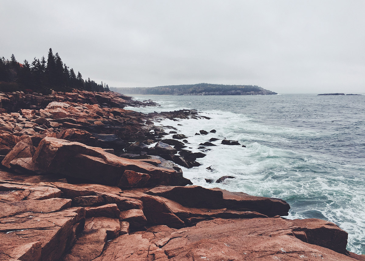 reddish stones at the edge of the ocean with pine trees in the background
