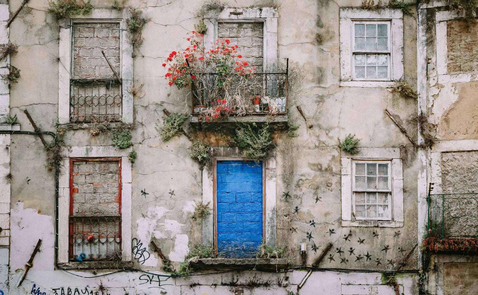 a shabby chic white building with red flowers growing out of cracks in the wall