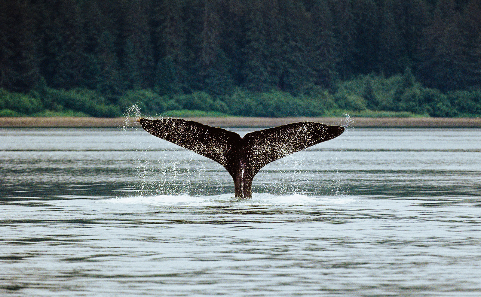 5 Great Books Set in Alaska That We Love