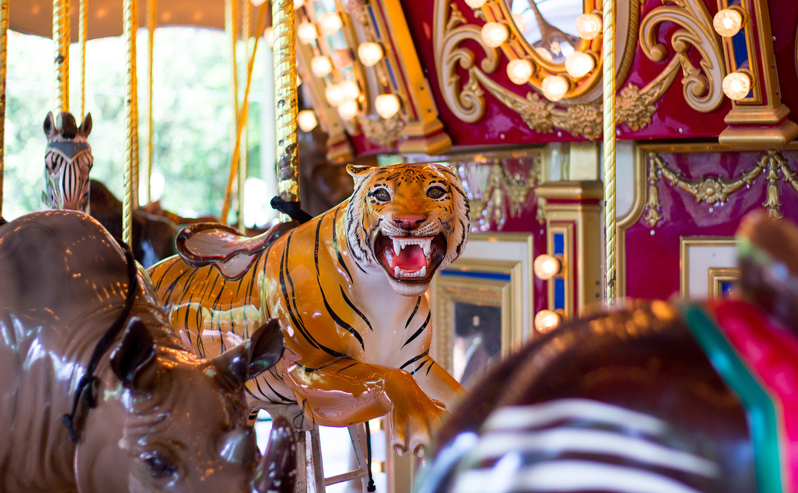 8 Thrilling Novels Set in Amusement Parks That Make It Feel Like Summer Anytime