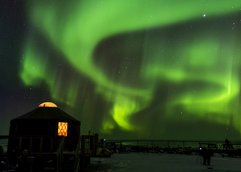 green aurora borealis over churchill wild