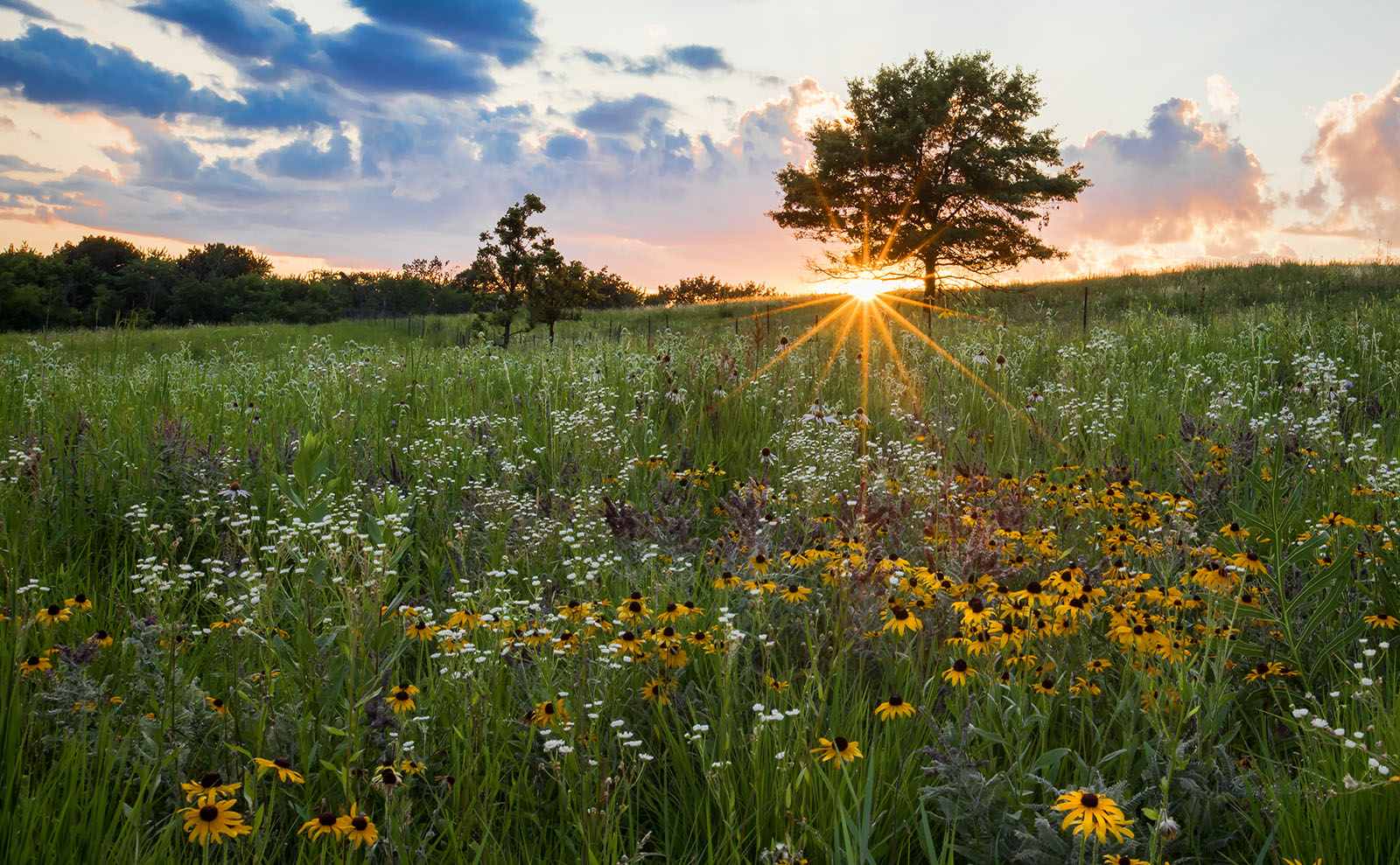 Get Lost in the Pulitzer Prize-Winning American Classic 'So Big' by Edna Ferber