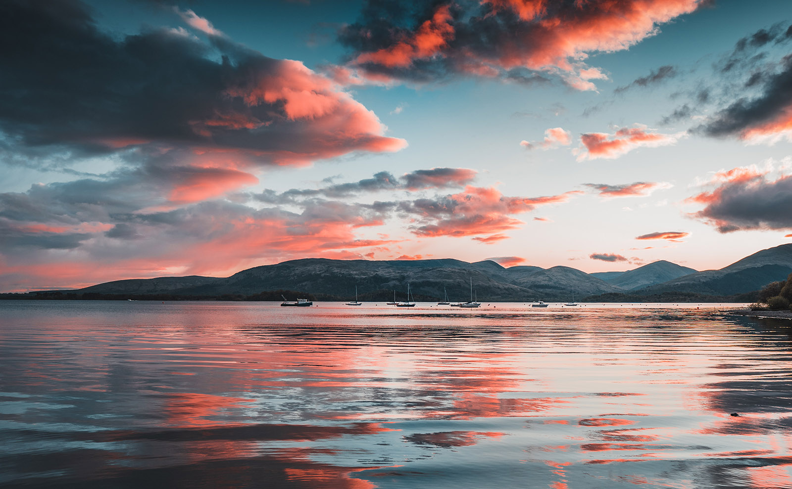 Travel with the Circus Excalibur in a Dreamy, Watery World in 'The Gracekeepers'