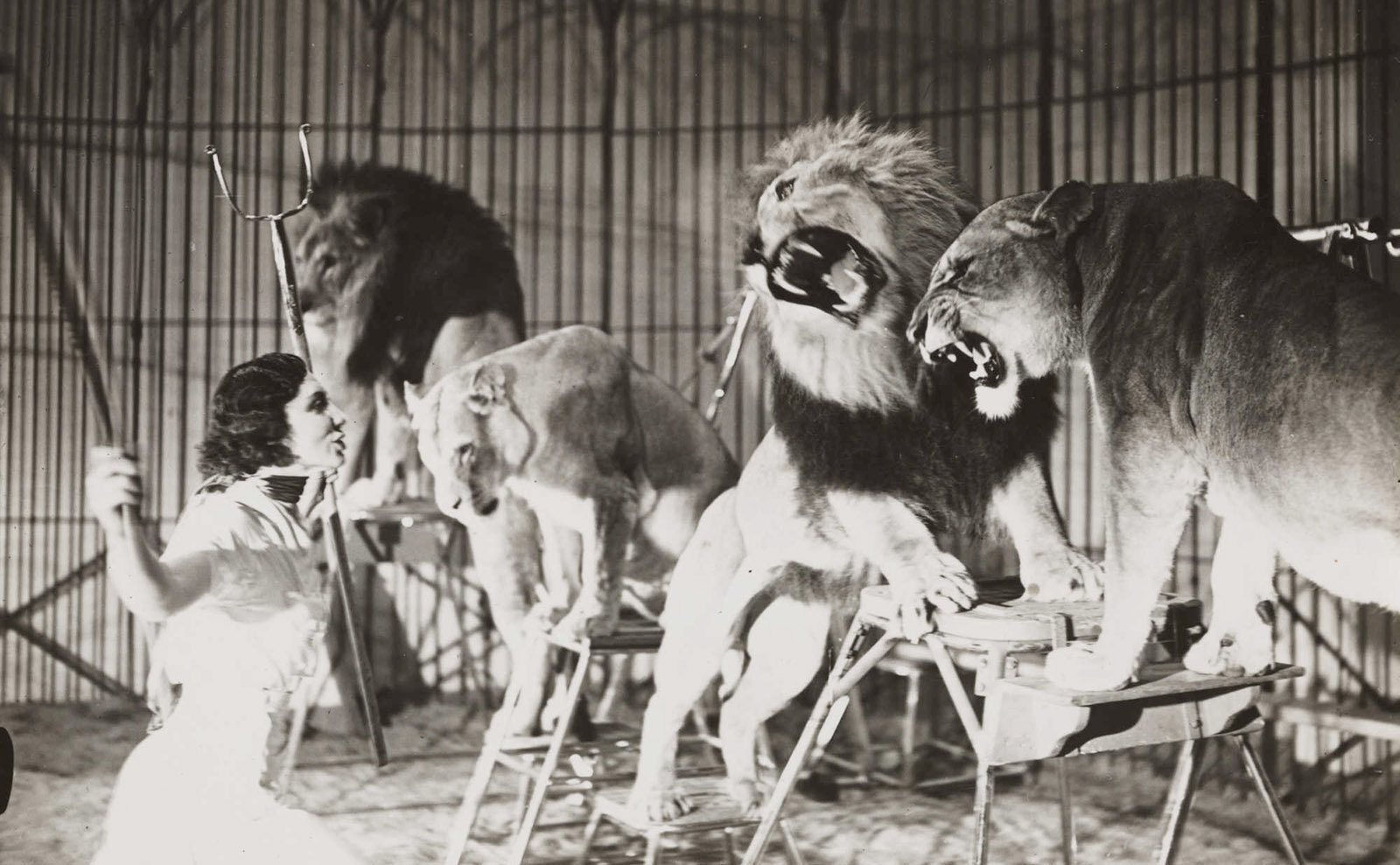 Get Tipsy with the Amazing Fevvers in Victorian London with 'Nights at the Circus'