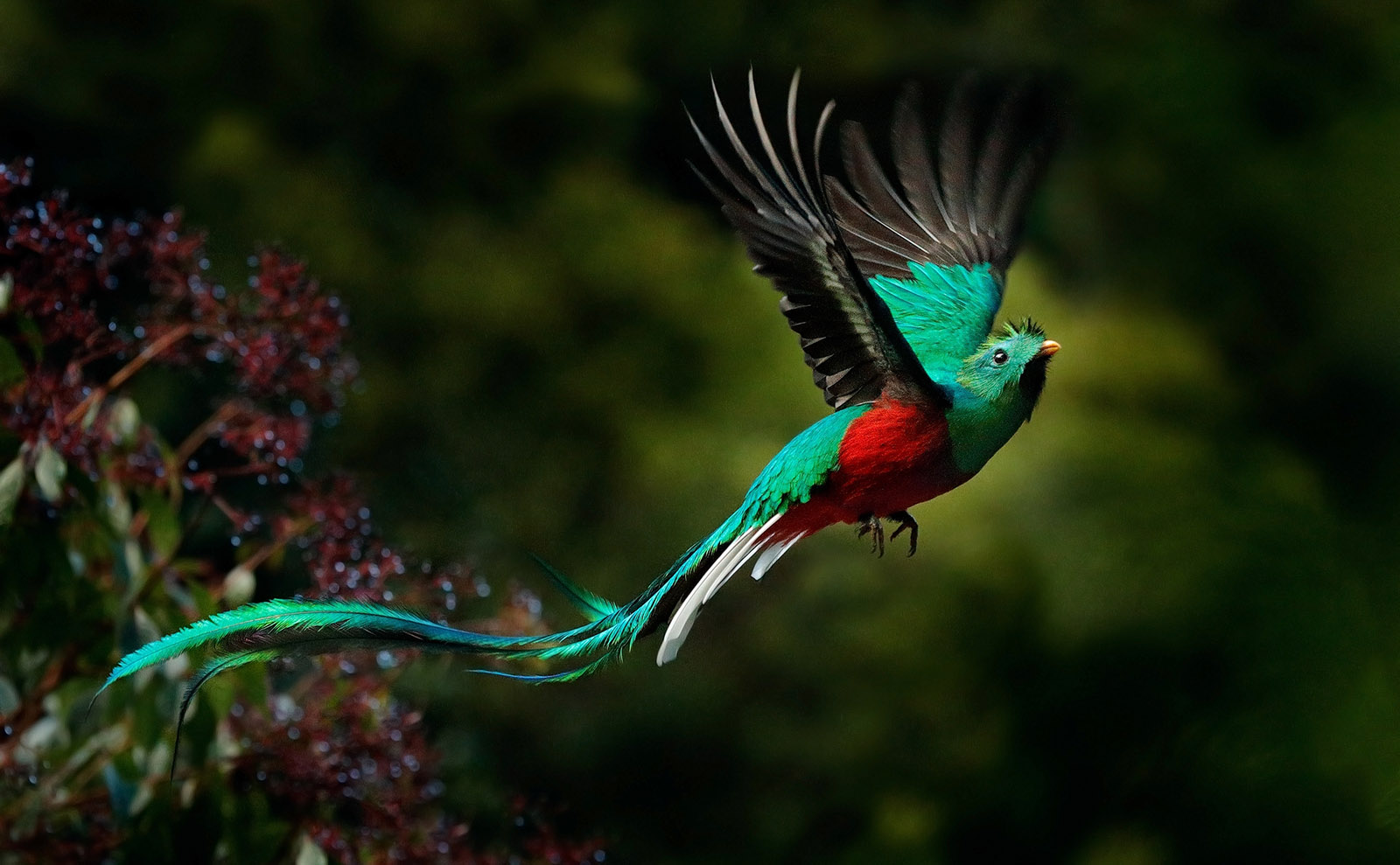 6 Must-Follow Instagrammers to Inspire Your Visit to Costa Rica