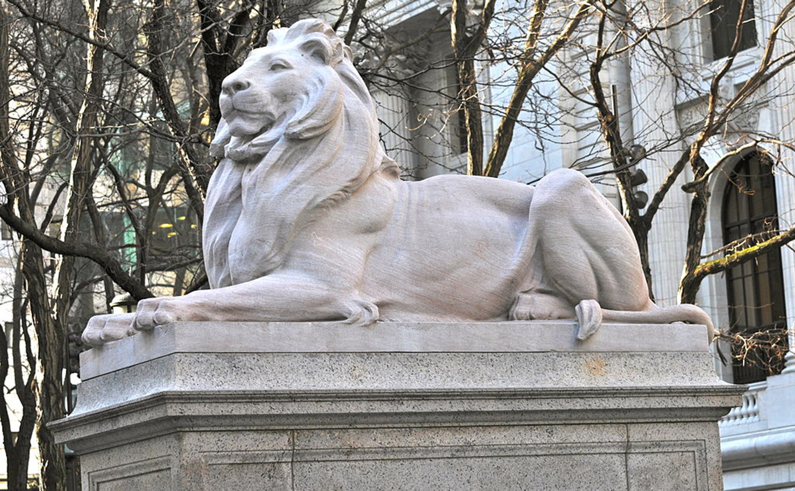 lion statue in front of the new york public library