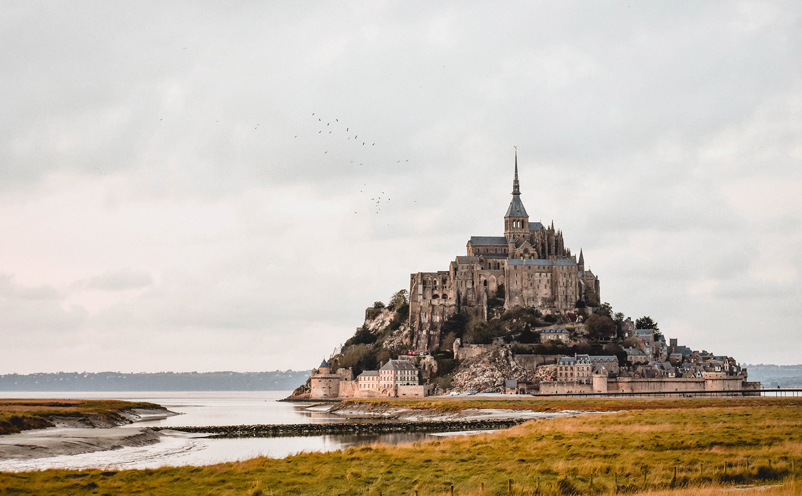 Windows Around the World, Bird Library, Pride Reads, Mexican Gothic & More: Endnotes 19 June