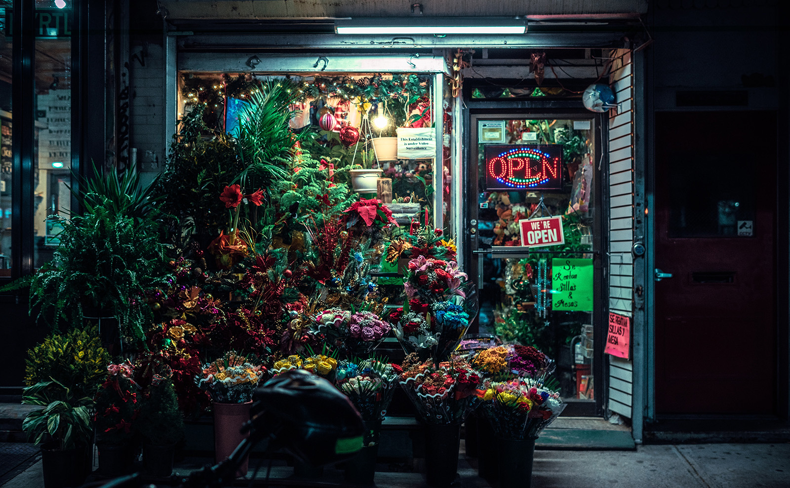 The Librarian-Spy, Chocolate Sorcery, Miami Beach Colors & More: Endnotes 14 February