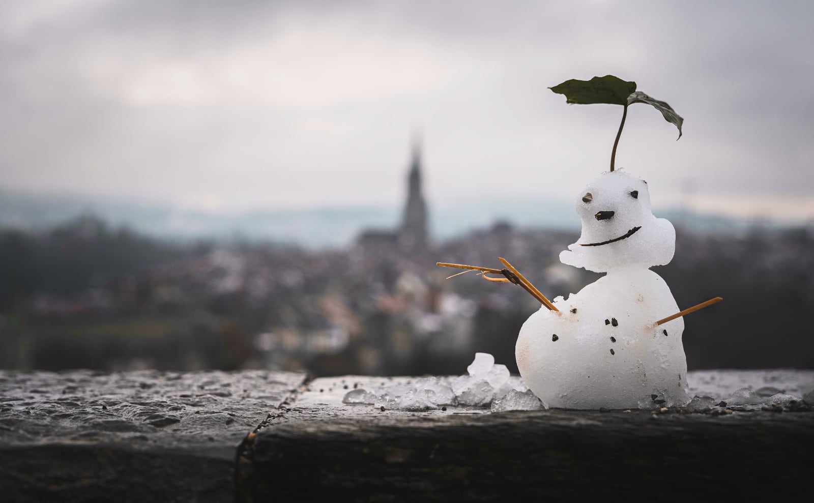 Snowmen, Best Travel Books, Wintry Novels, Recipes in Verse & More: Endnotes 12 December