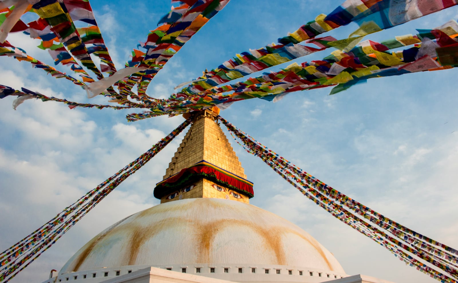 Kathmandu, Dorian Gray, CA Redwoods, New Modern Gothic Novels & More: Endnotes 17 January