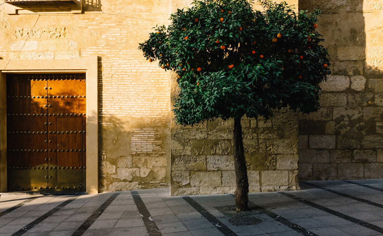 Seville Oranges, Emily Brontë, Walled Cities, Prose Poetry & More: Endnotes 24 February