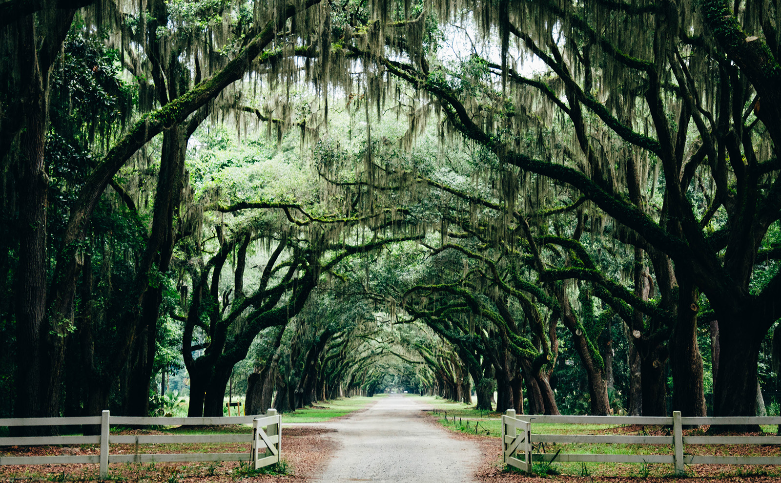 Novels in Translation, Nevada Road Trips, Nautical Terms & More: Endnotes 21 February