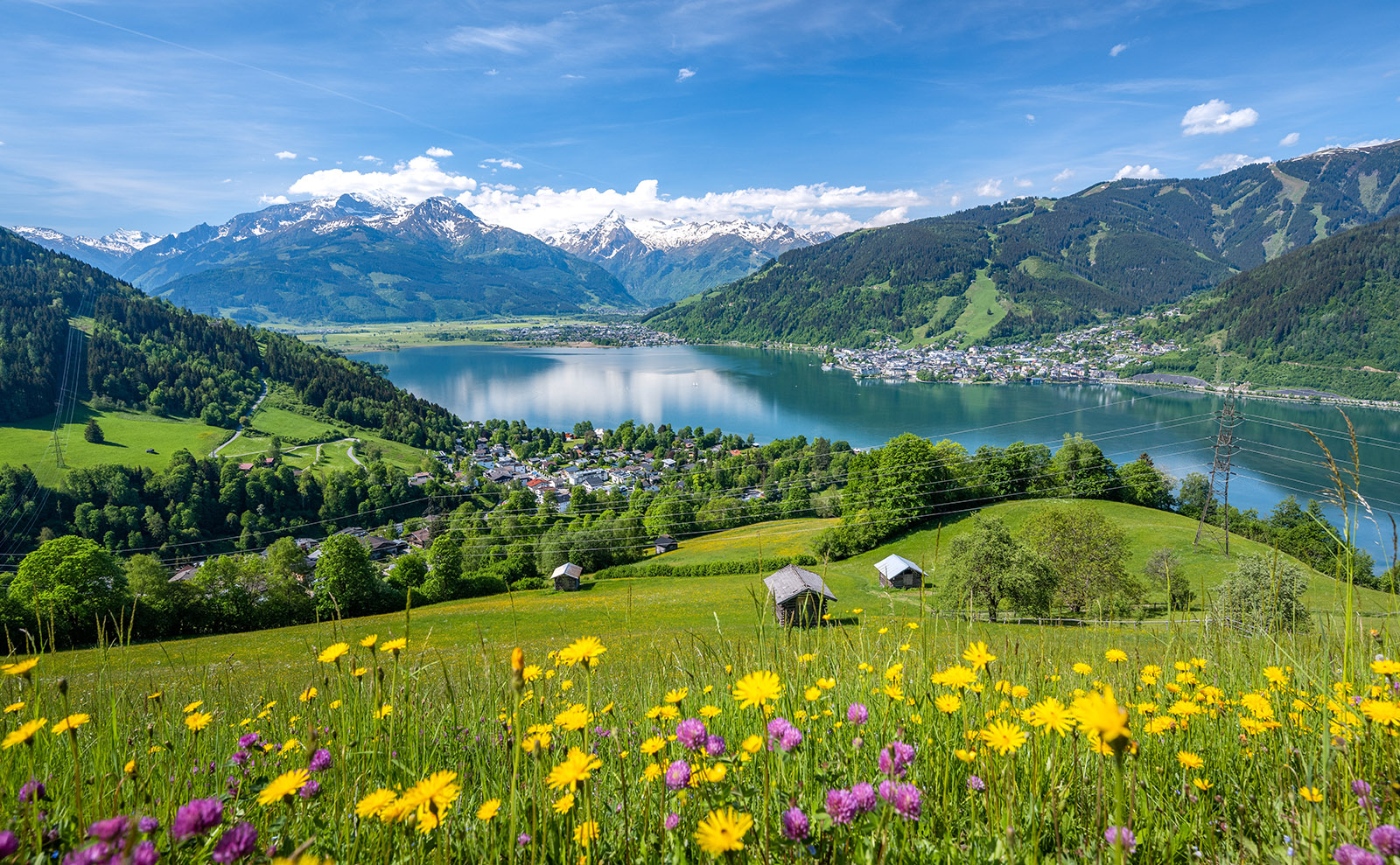 Austria, Ballet Thriller, Pronouncing Author Names, Corn Dogs & More: Endnotes 30 June