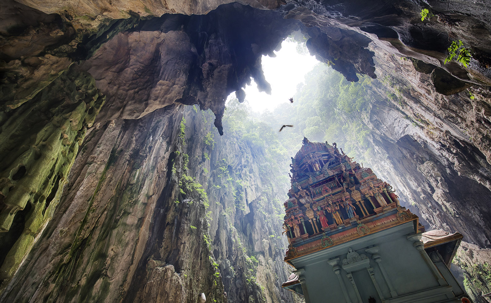 Batu Caves, Collective Nouns, Famous Last Lines, Paris Hotels & More: Endnotes 12 May