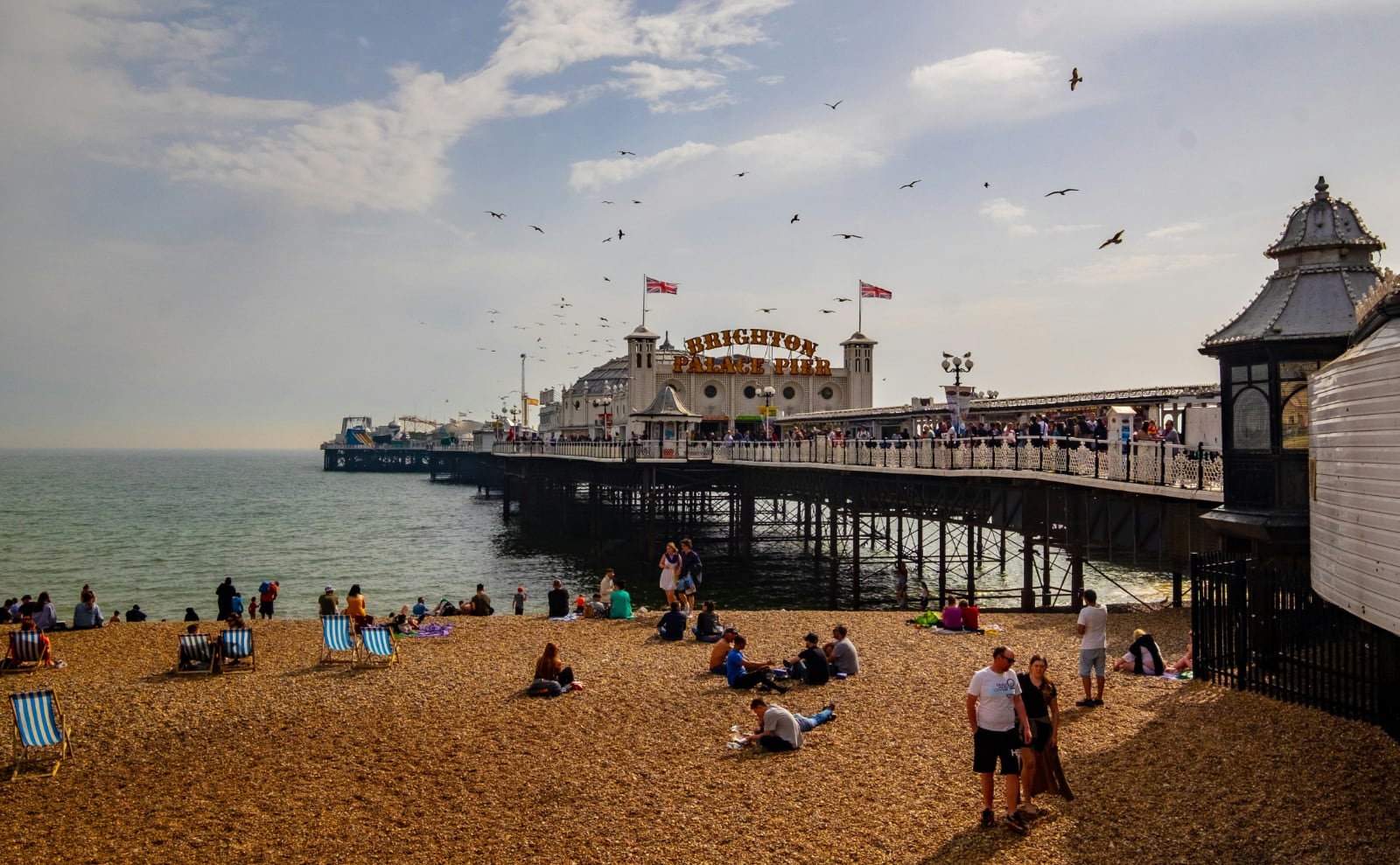 Brighton Pier, Tiny Bookshop Game, Butterfly Murals, Summerween & More: Endnotes 15 August