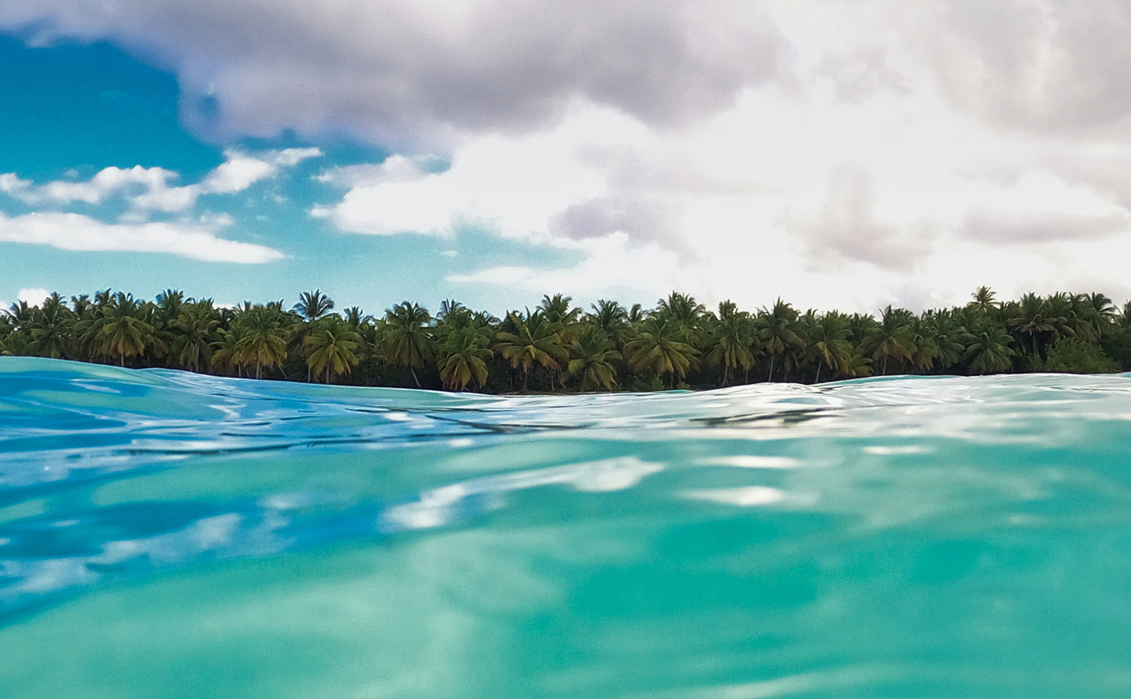 Dominican Republic, Bookish Art, Dickinson's Hair, Lupin Fever & More: Endnotes 29 January