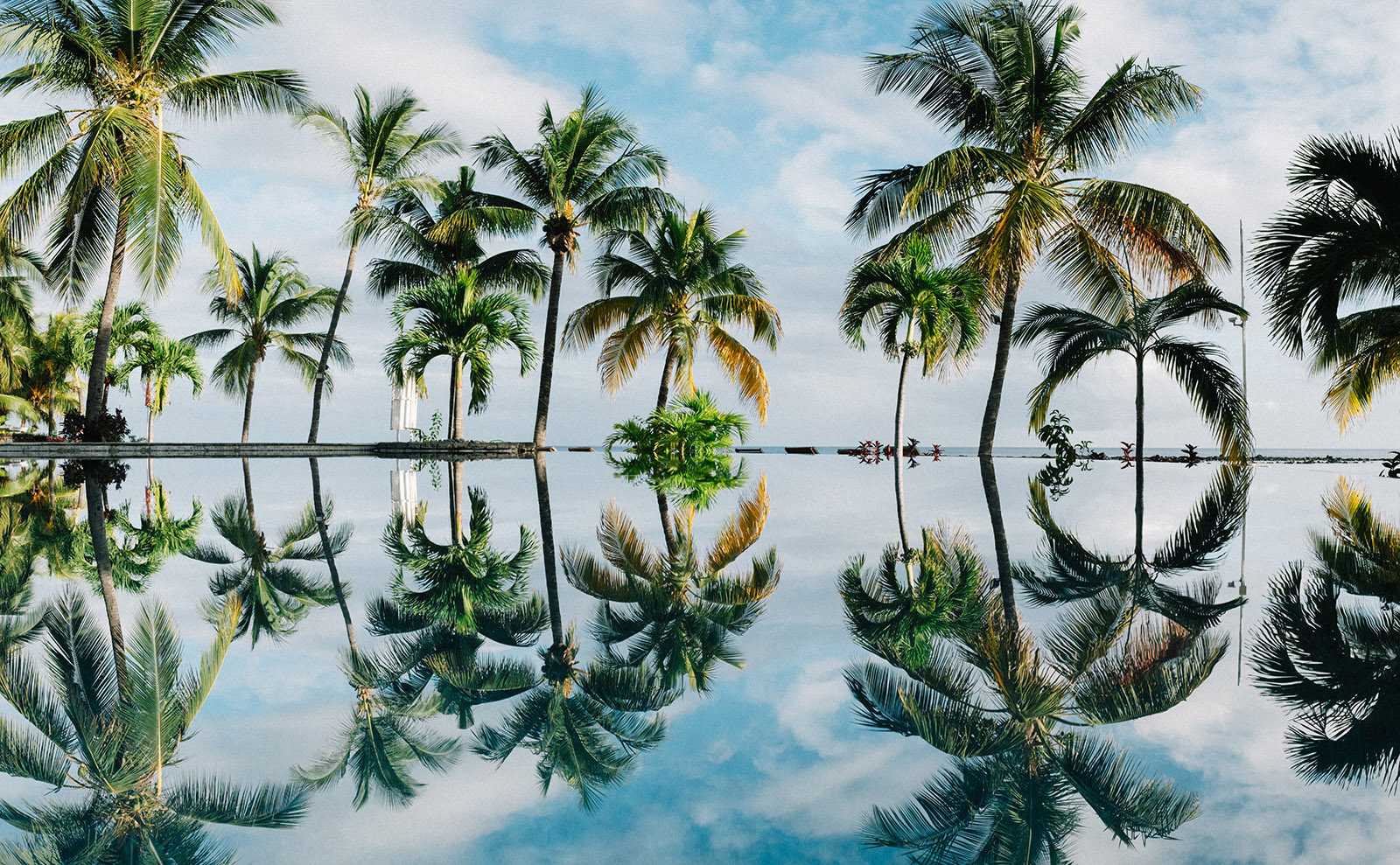 Bookish Flirtation, Finland Adventures, Pandemic Haiku, the Louvre & More: Endnotes 29 May