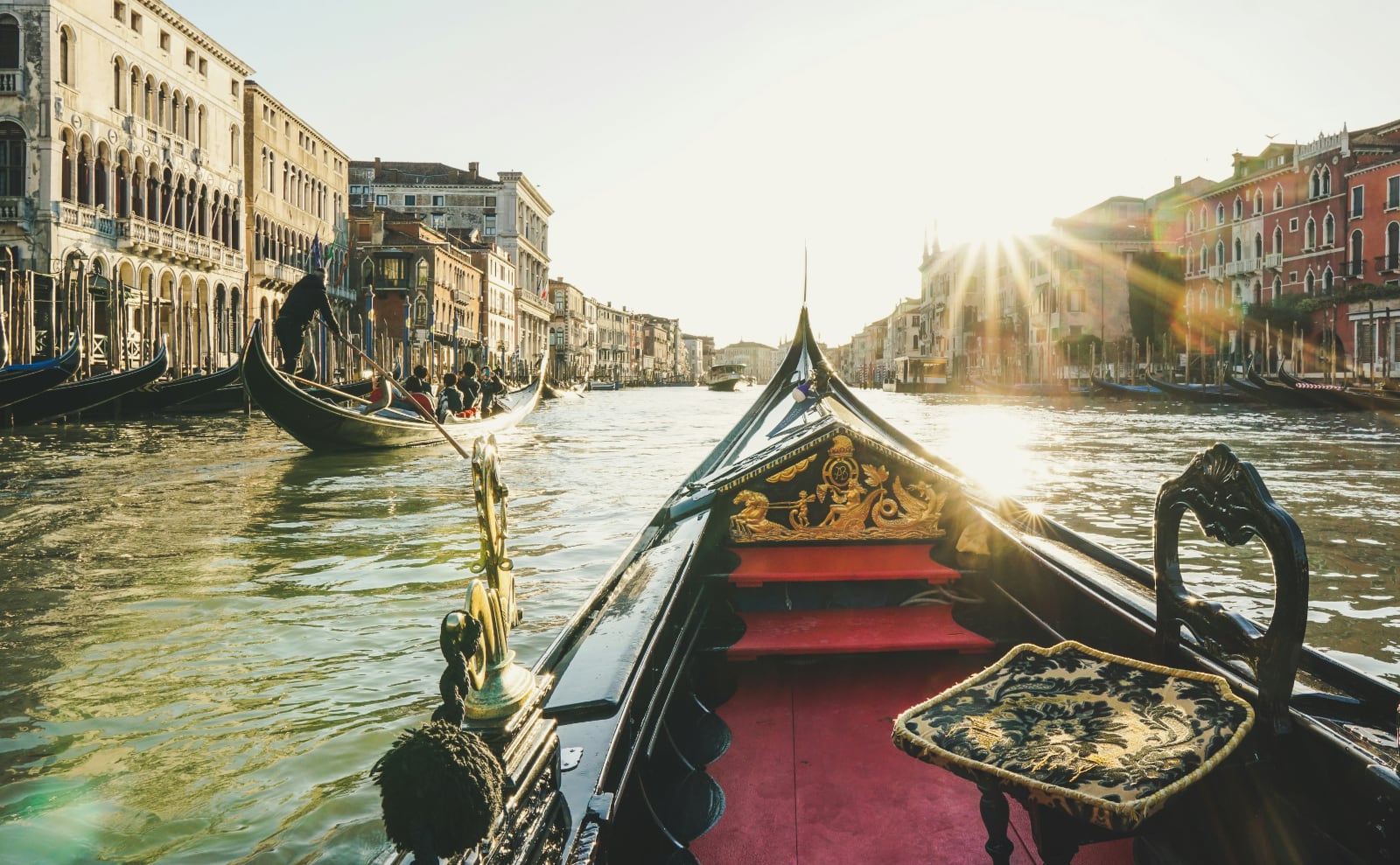 Venice Film Fest, Book Bans, Swimmable Cities, Austin Crime Novels & More: Endnotes 29 August