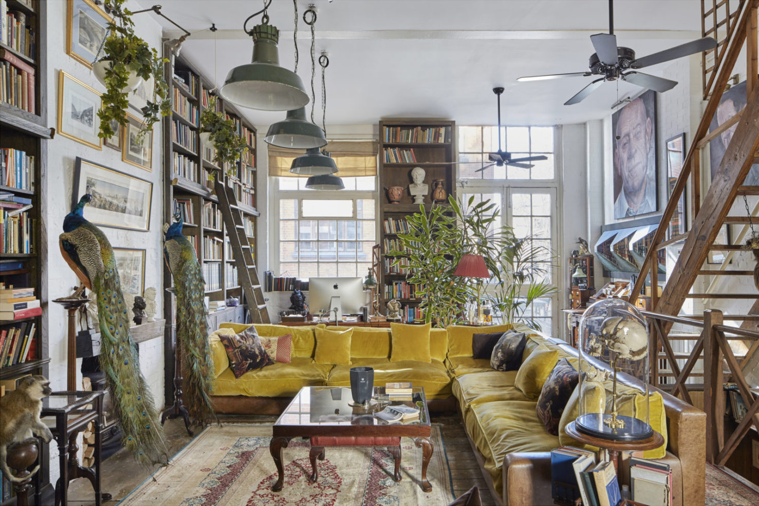 home library shelves and stuffed peacocks