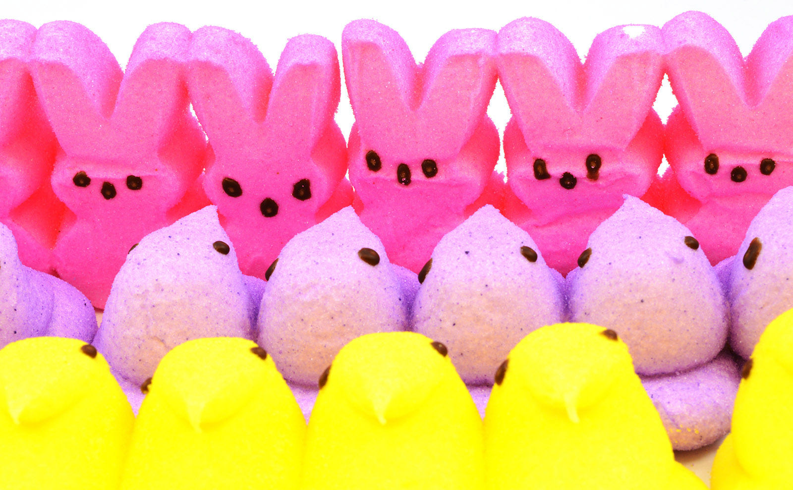 Easter Peeps, Poetry Month, Arctic Train, D&D, Retro Swears & More: Endnotes 07 April