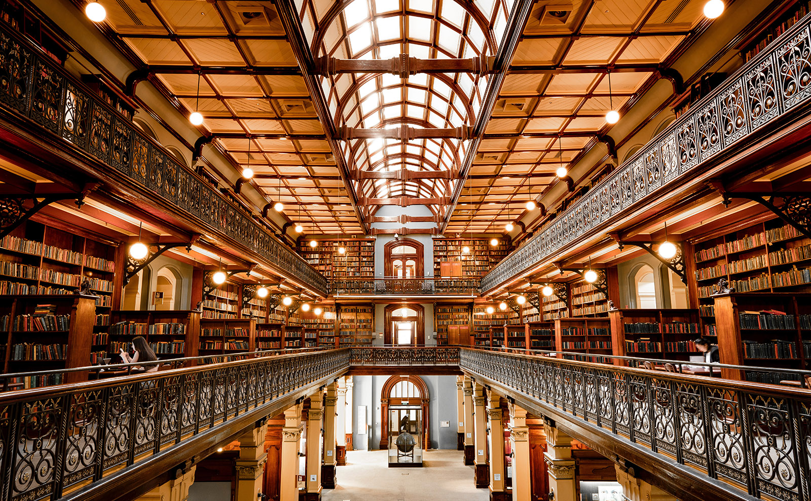 Australian Library, Street Cats, Literary Translators & More: Endnotes 13 November