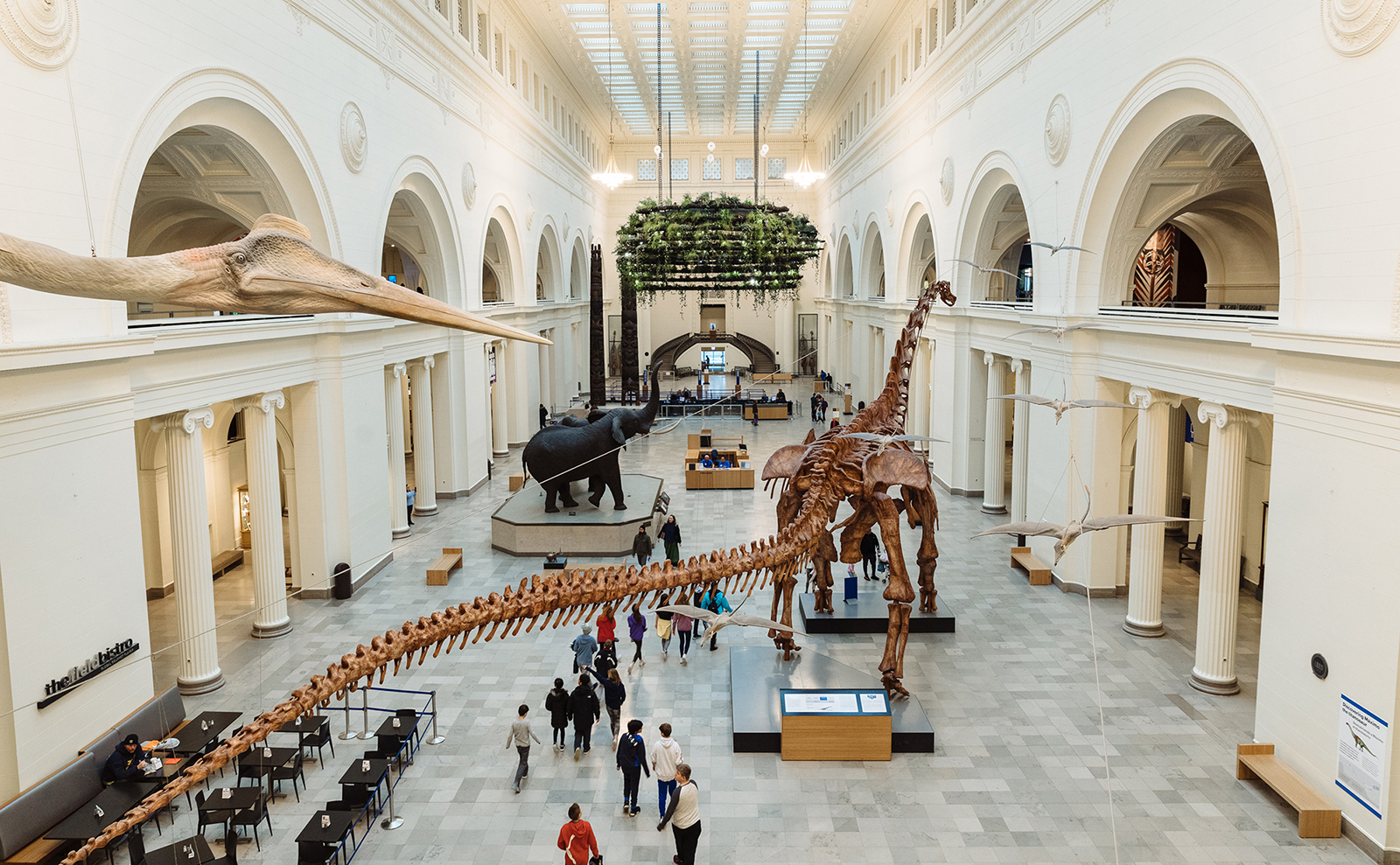 Field Museum, Beinecke Library, Dark Academia, RomComs & More: Endnotes 19 February