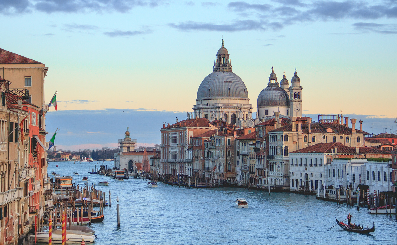 Sourdough Library, Jane & Rochester as Dogs, Bunnyhenge & More: Endnotes 01 May