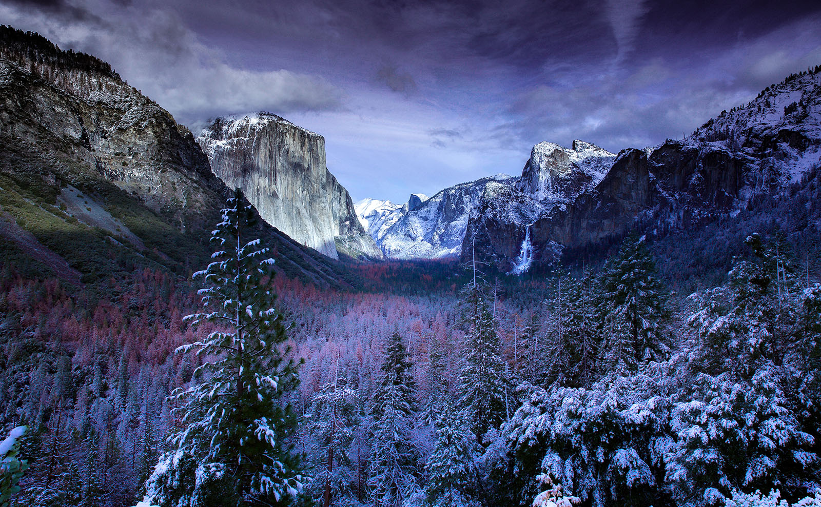 Literary Introverts, Travel & Empathy, New Library Podcast & More: Endnotes 06 December