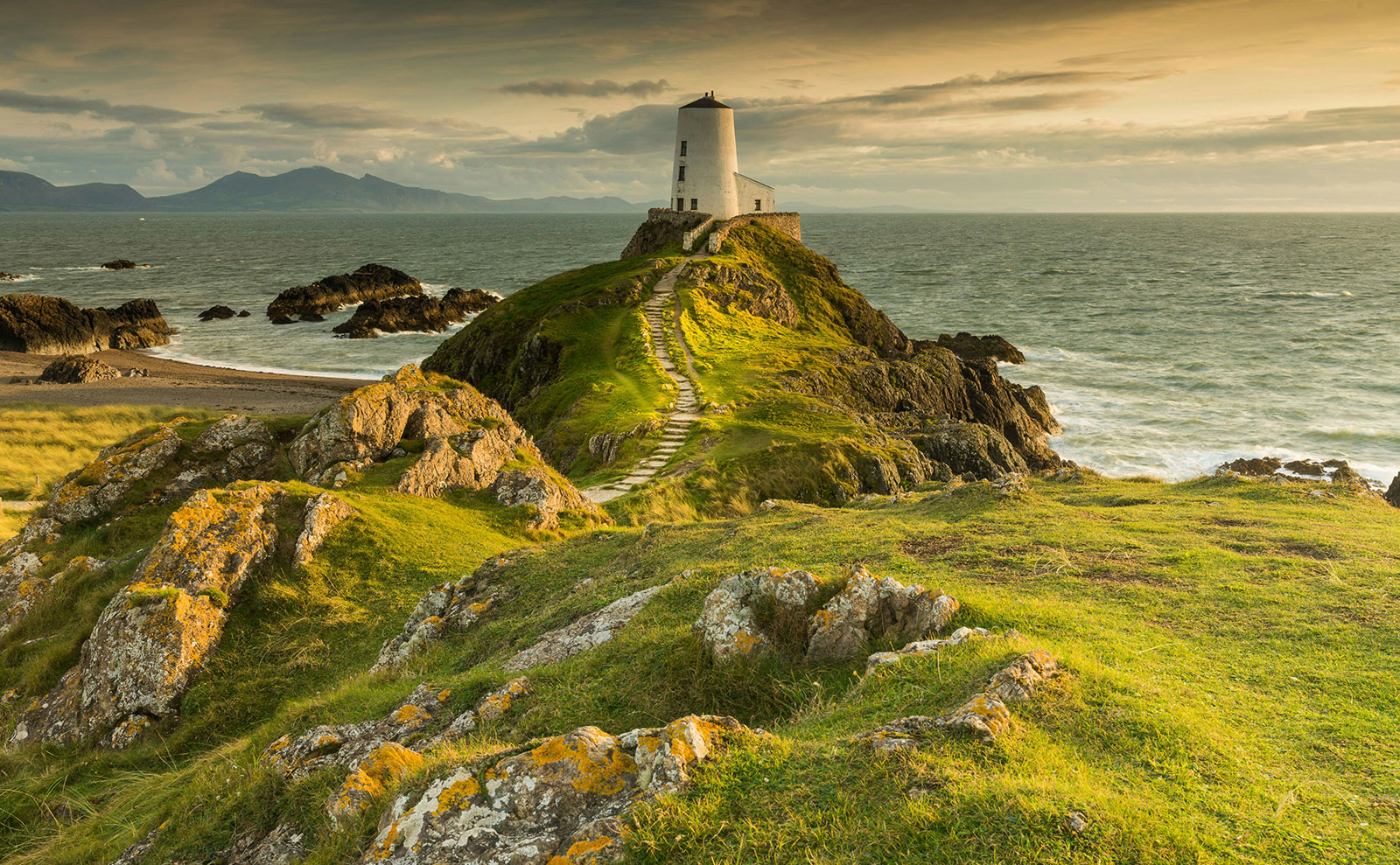 Llandwyn Island, Darwin's Library, Sriracha Wars, Literary Fashion & More: Endnotes 16 February