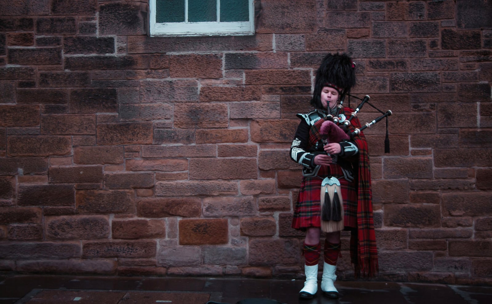 Burns Night, Reading Ambience, Horror Bookshops, Europe's Ghost Cat & More: Endnotes 23 January