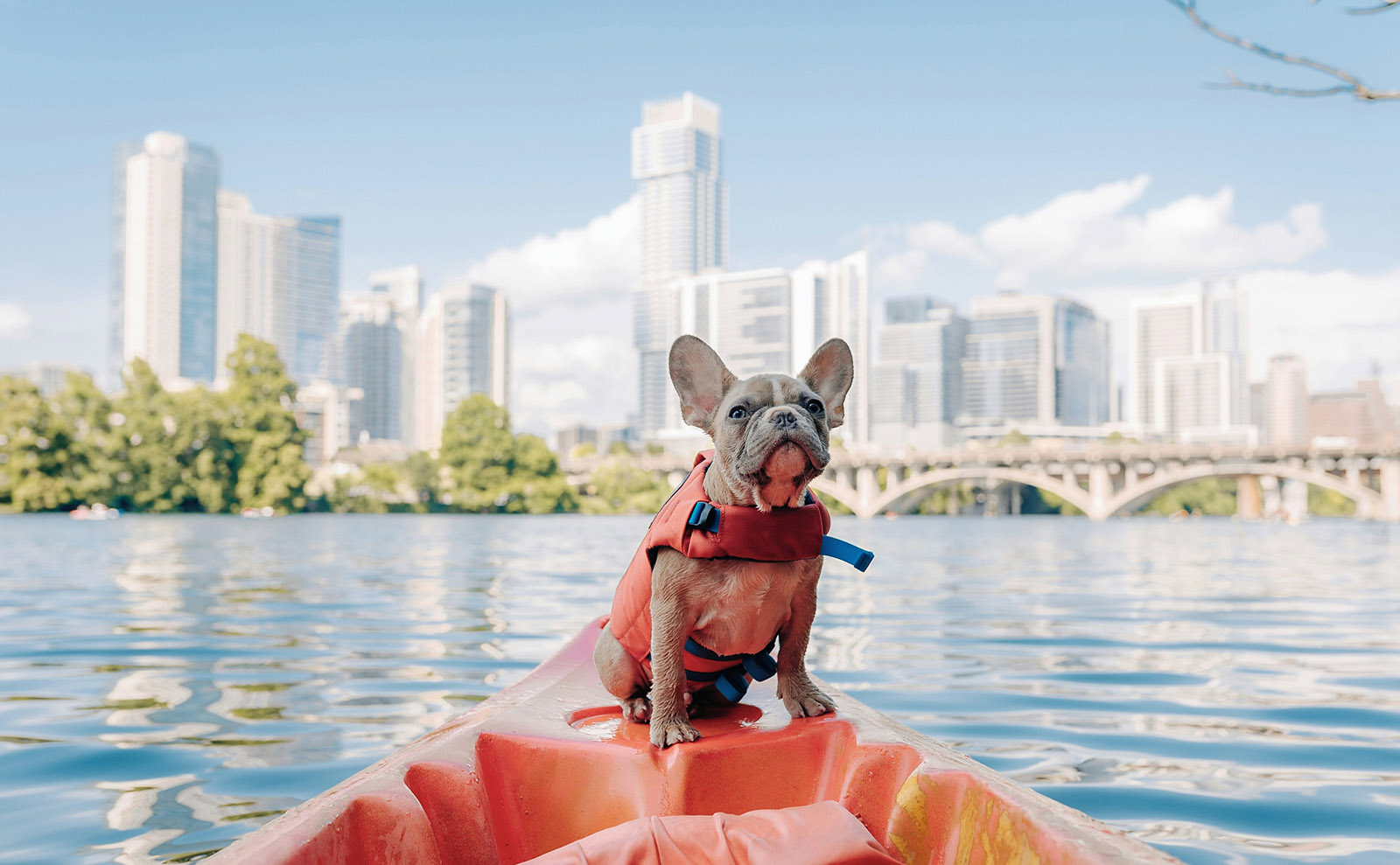 Austin, Beach Reads, Literary Museums, Wild Rumpus, '20s Love Letters & More: Endnotes 24 May