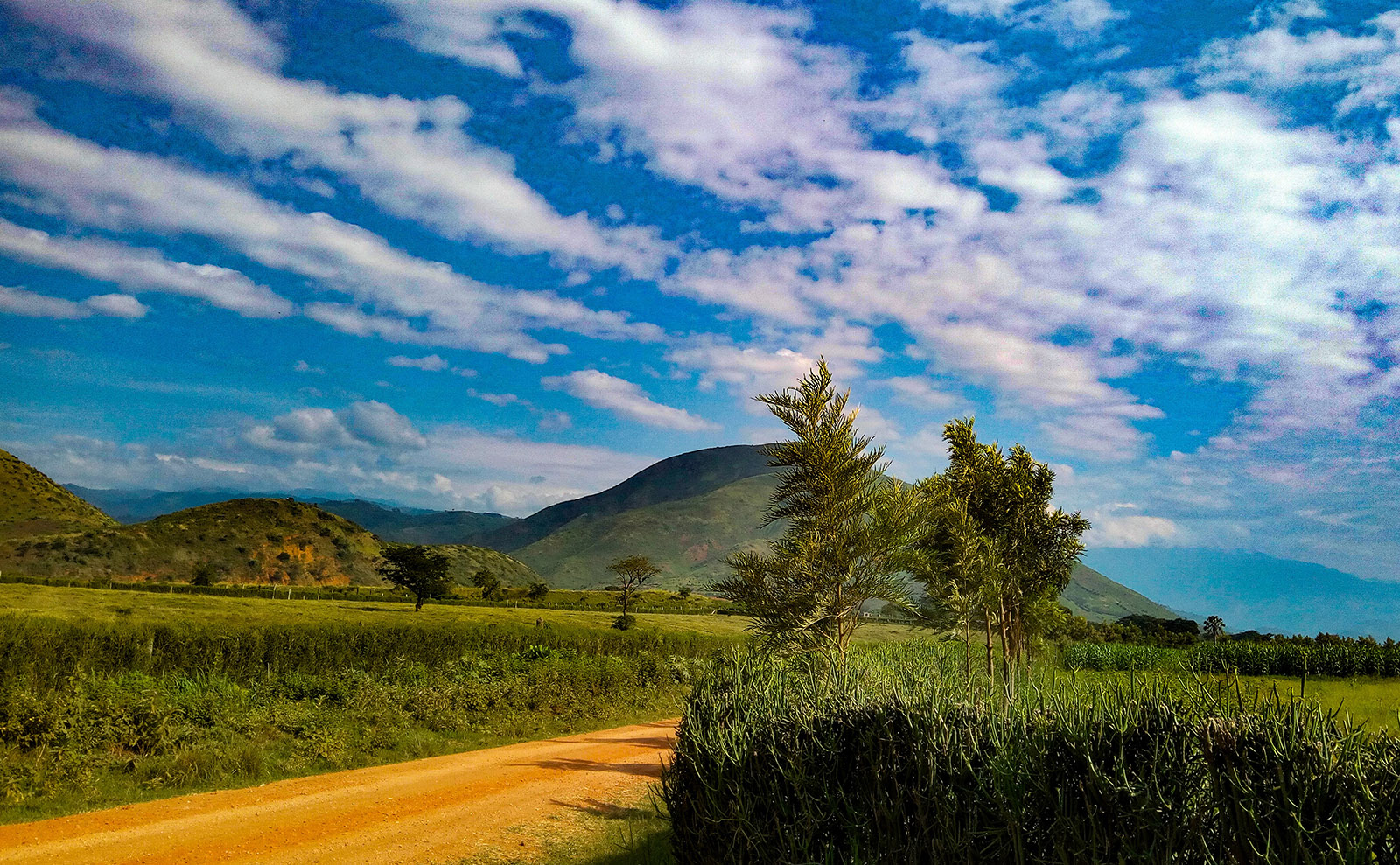 Vintage Egypt, Agatha Christie Locations, Literary Destinations & More: Endnotes 12 June