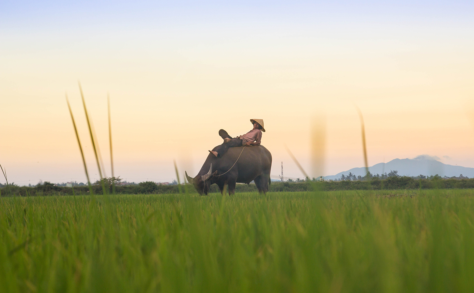 Beach Reads, Antique Globes, Fictional Maps, Secret Syrian Library & More: Endnotes 22 May