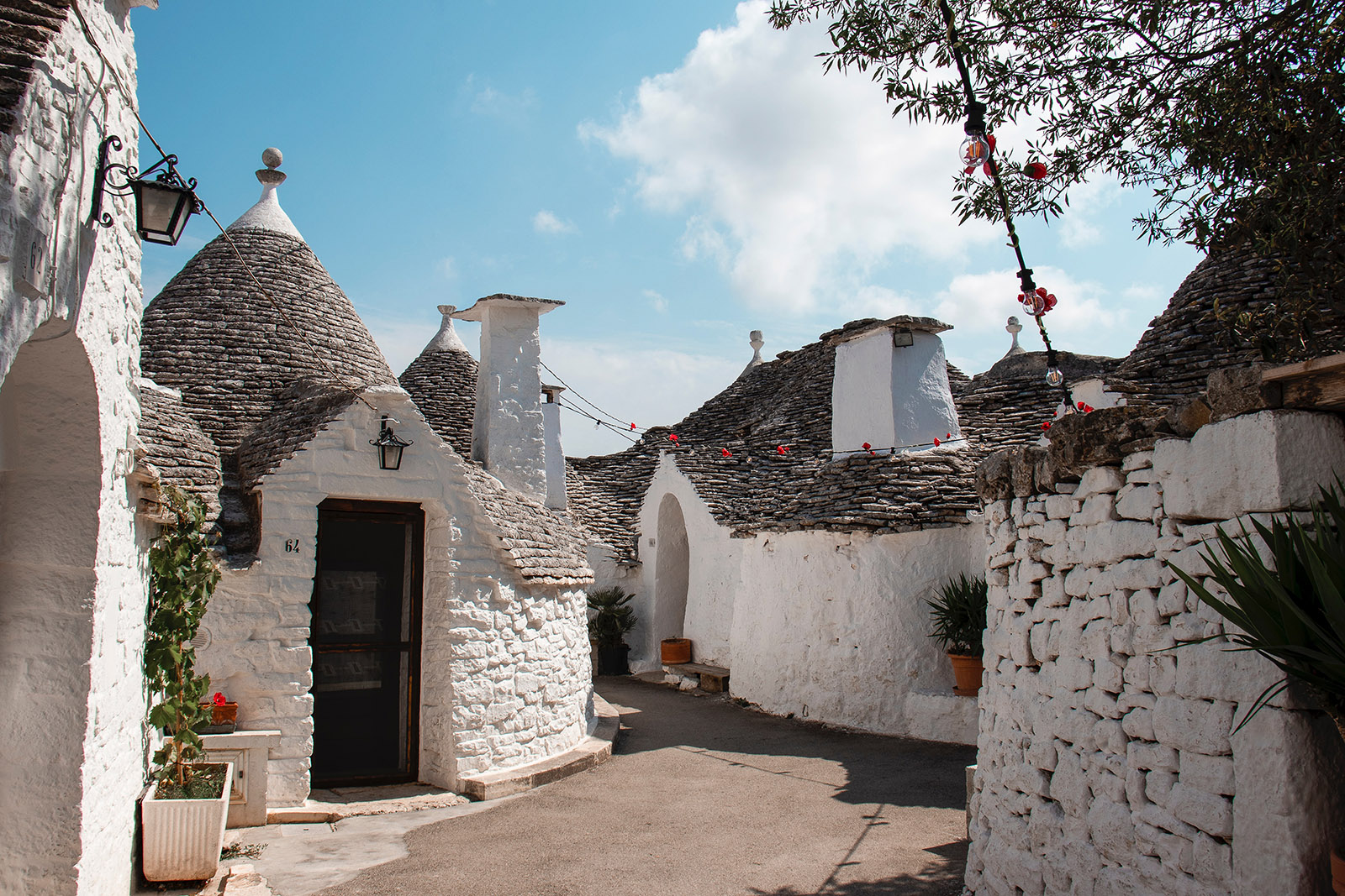 white stucco buildings in alberobello, italy