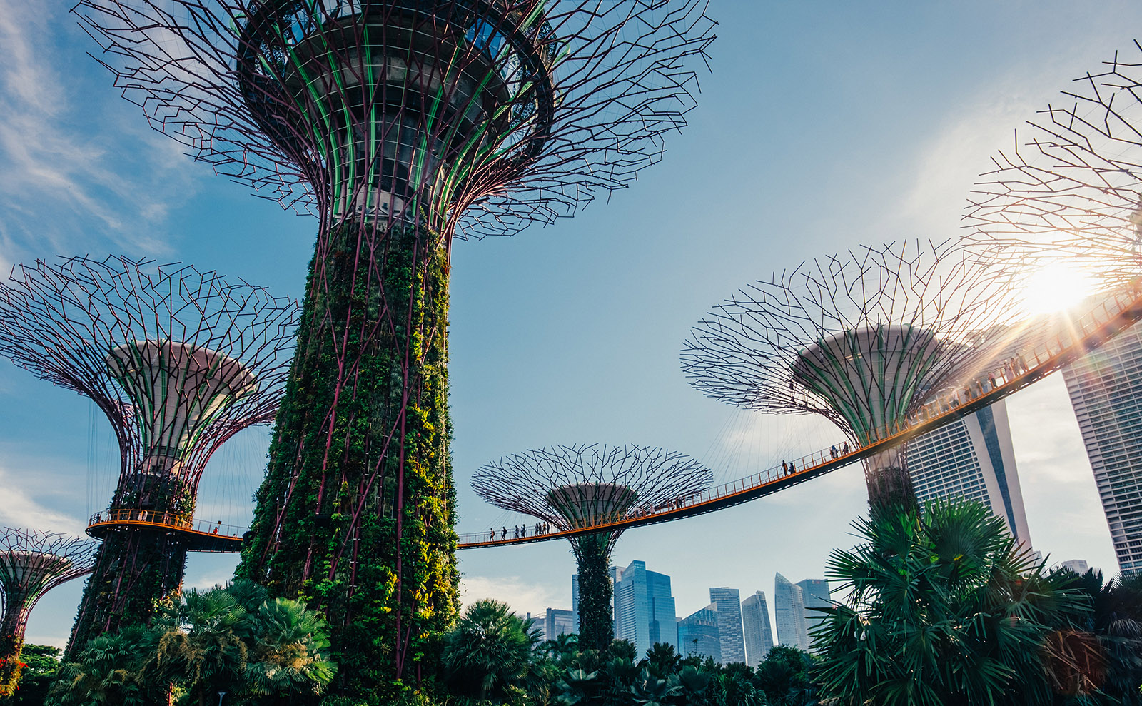 Japanese Pizza Toast, Authors' Homes, How Books Got Cheap & More: Endnotes 07 August