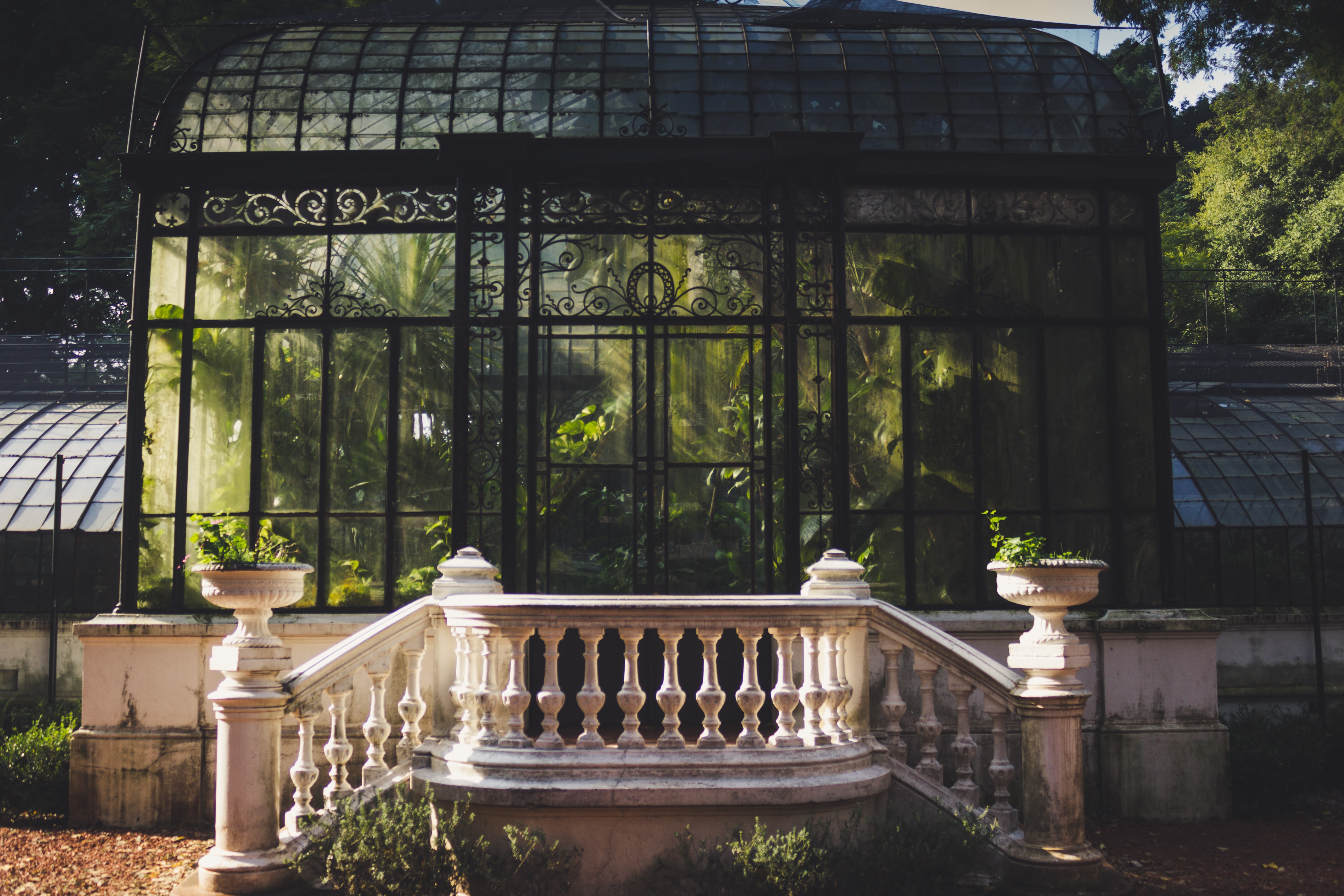 Botanical Garden, Library-Themed Bars, Curse Words, Castle Hotels & More: Endnotes 19 January