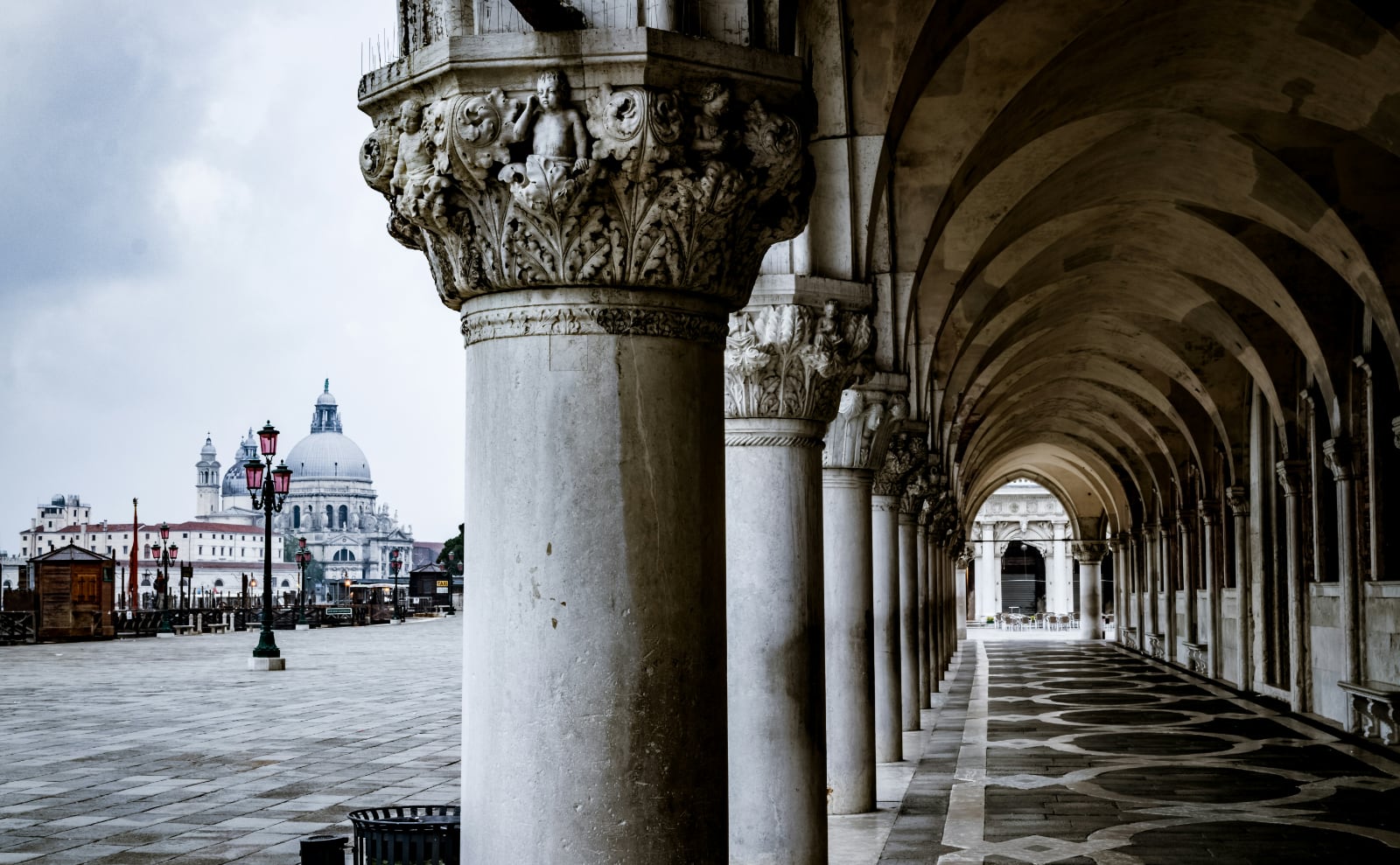 Venice Palazzo, Other People's Notebooks, Giant Trees, Austen Goodies & More: Endnotes 09 January