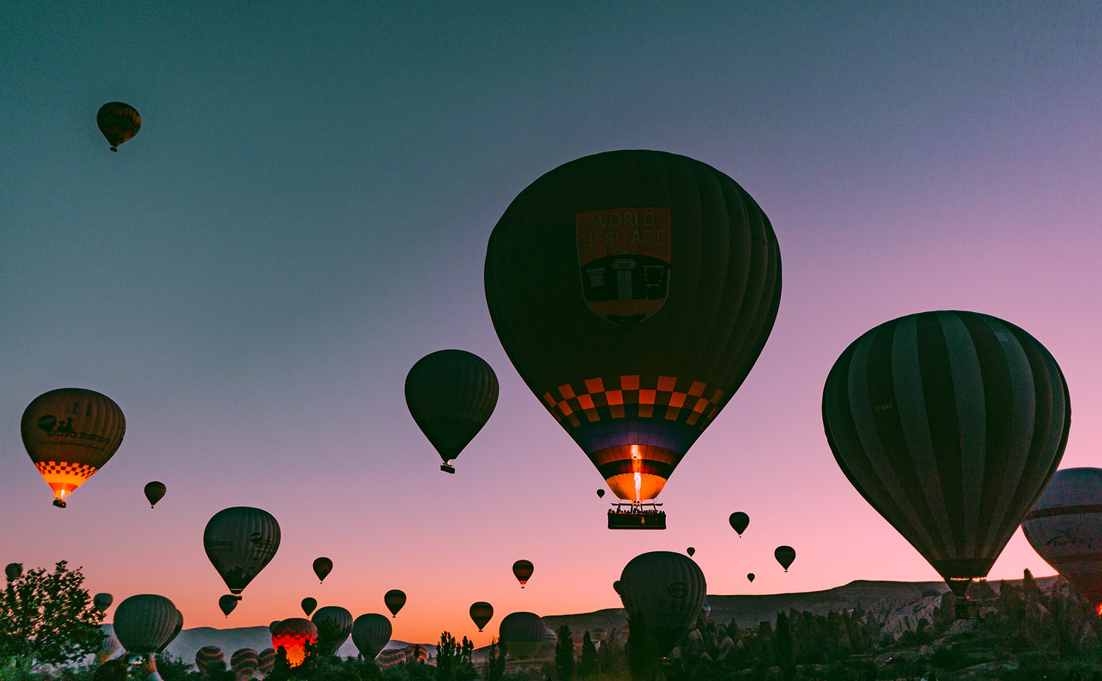 Dramatic Translations, Night Trains, Spring Flowers, Pretty Bookshelves & More: Endnotes 08 May