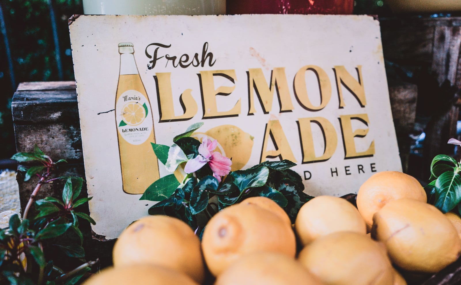 Lemonade, Best Summer Books, London Hotel, Wilkie Collins, Ischia Italy & More: Endnotes 27 June