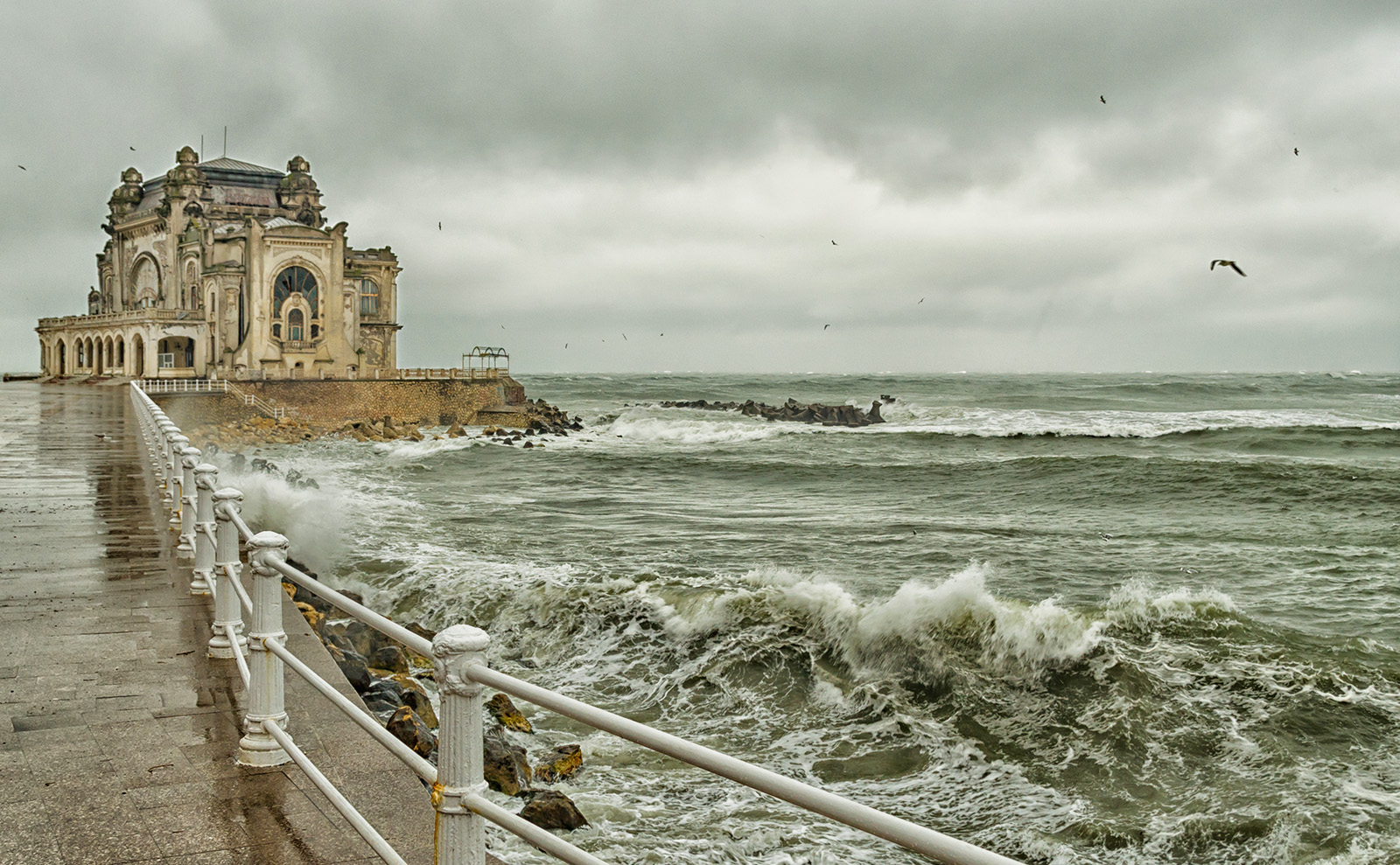 Constanta Casino, Future Library, Leaf Sheep, Reading Gargoyles & More: Endnotes 08 July