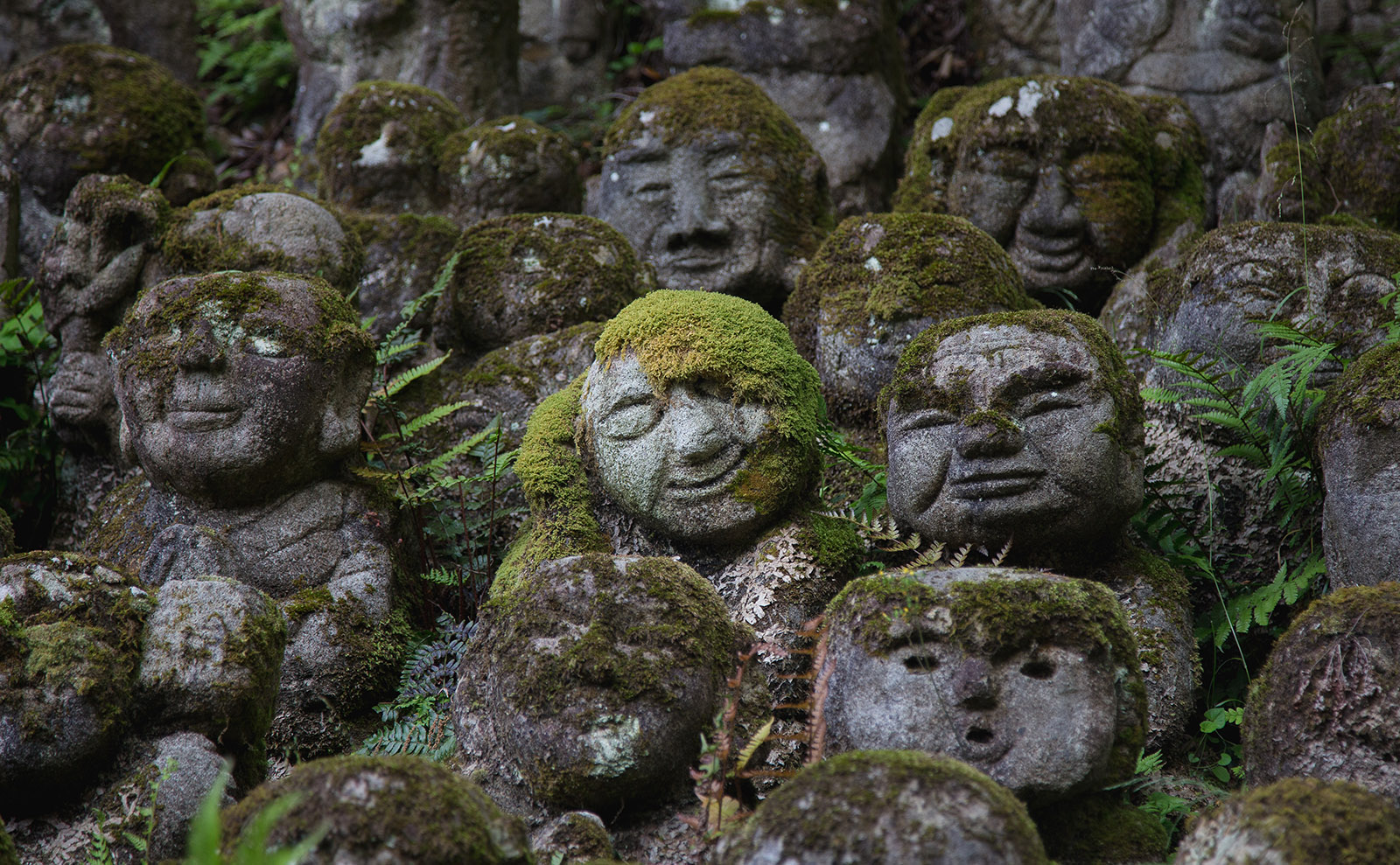 Japanese Rakan, Emotion Words, American Diners, Drone Photos & More: Endnotes 23 September