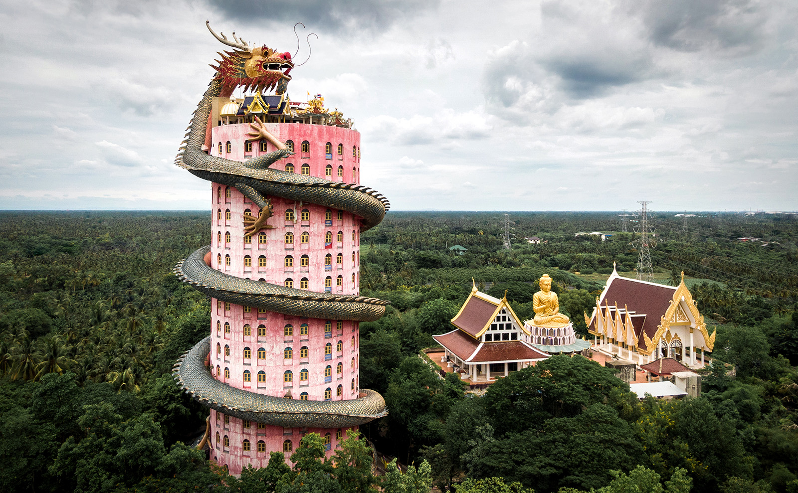 Vintage Bookshelves, Feasting in Zanzibar, Novel Fashion & More: Endnotes 31 January