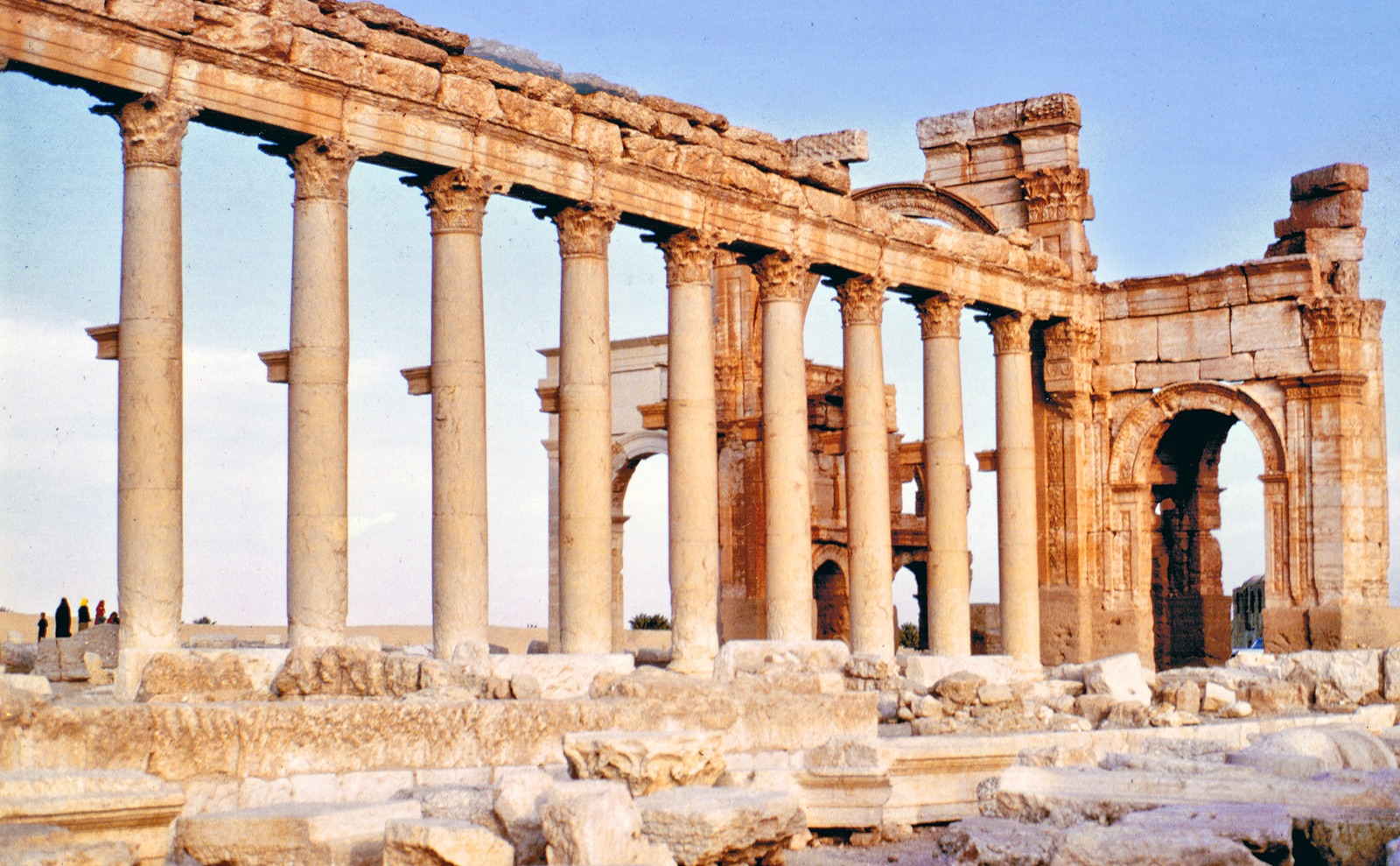 An Epic Library, Hotel Hack, Walruses in the Arctic & More: Endnotes 25 October