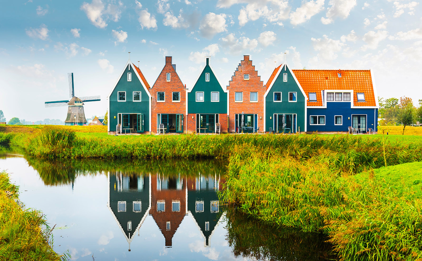 Netherlands, Watership Down, Lonely Trees, The Recipe Project & More: Endnotes 11 November